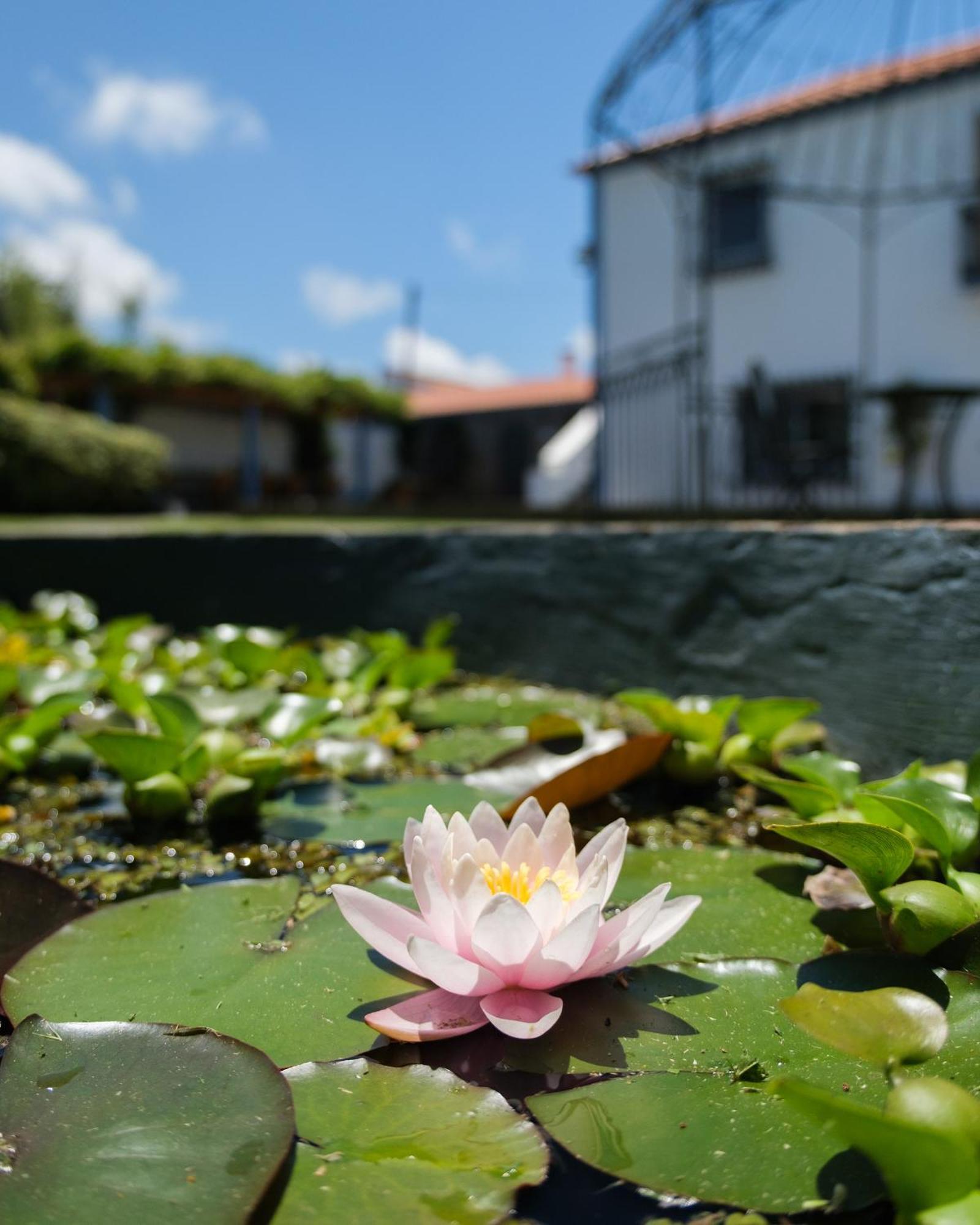 Quinta Morazes Casas De Campo Ribeira Grande Εξωτερικό φωτογραφία